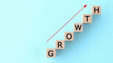 Title: Small Business Importance And Growth Strategies